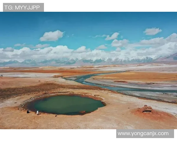 八尾九尾对决斑鱼探秘水中奇观与生态之美