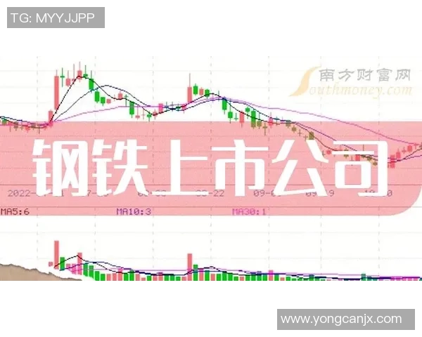 南方钢铁与中央脉搏72的对决分析与市场前景展望
