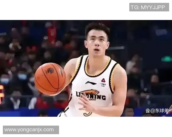 赵继伟：从青年才俊到国家队核心的成长之路与篮球梦想